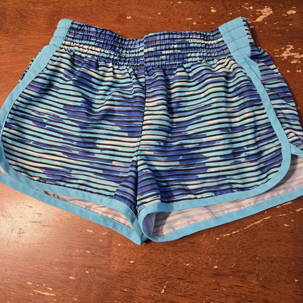 Champion Blue Striped Athletic Shorts